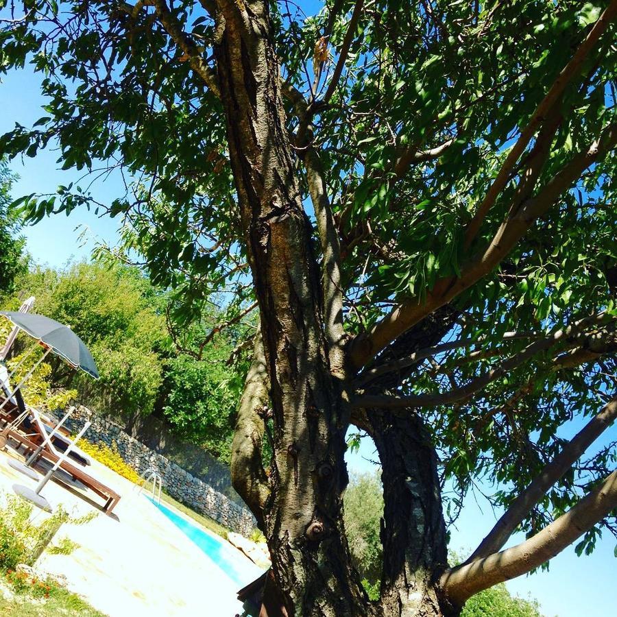 Abbraccio Del Carrubo Bed and Breakfast Scicli Εξωτερικό φωτογραφία